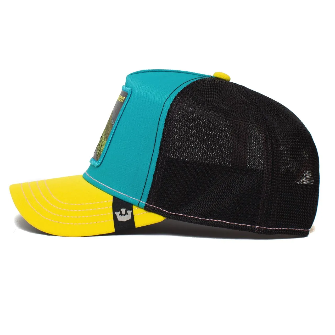 Goorin Bros Iguana Party in Teal & Black Color