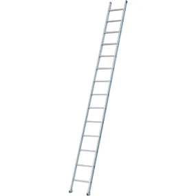 Industrial Heavy-Duty Extension/Straight Ladders