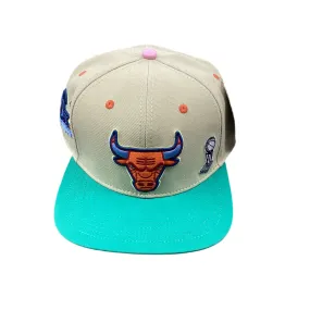 PRO STANDARD 7515273-BULLS