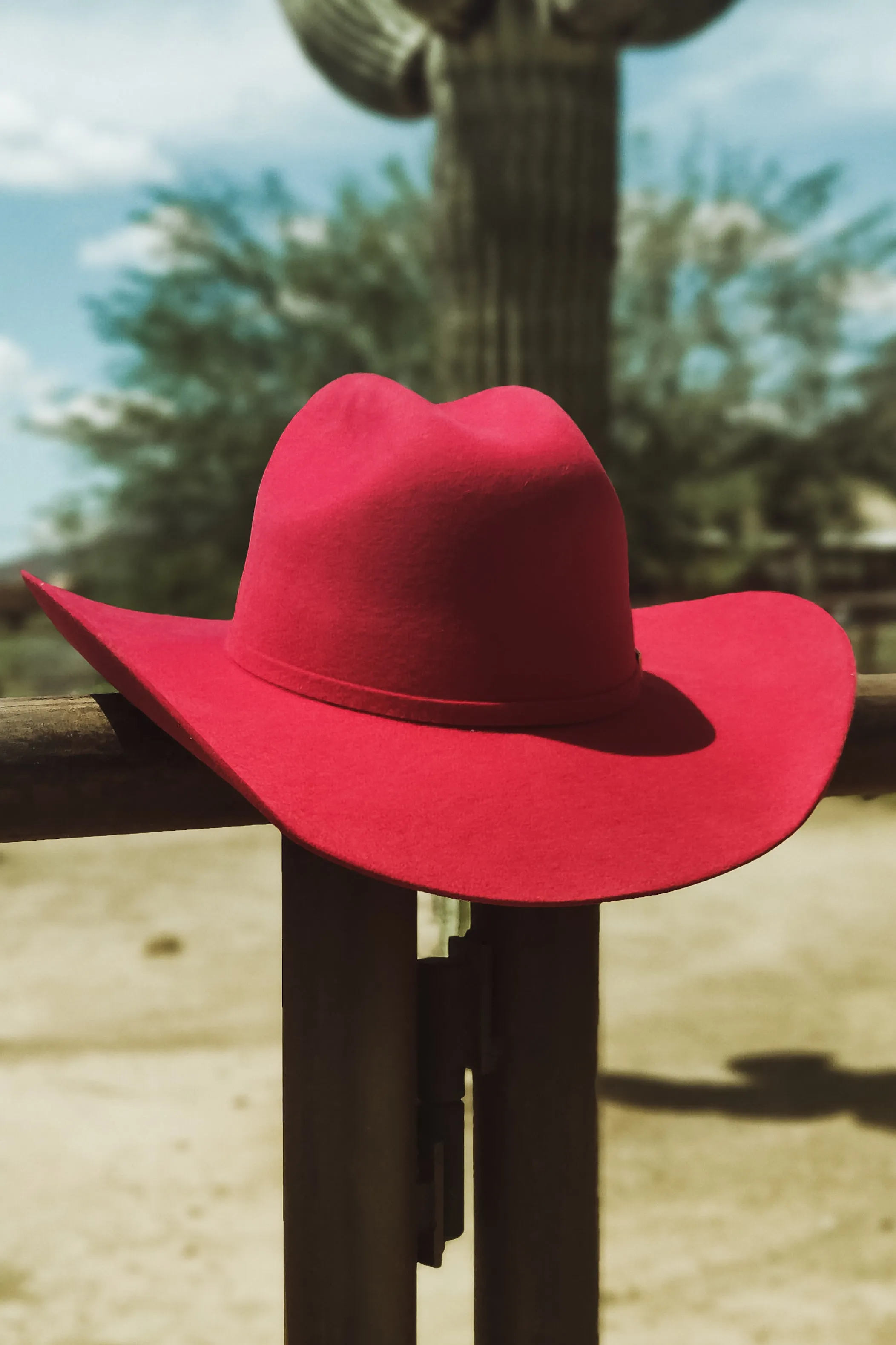 Rodeo Royalty 4x Felt in Scarlet